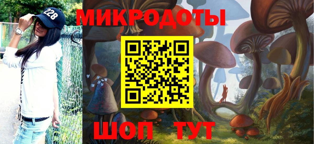 Псилоцибиновые грибы Cubensis Благодарный