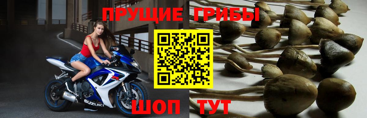 Галлюциногенные грибы ЛСД  Галлюциногенные грибы мухоморы  Вход с VPN  Благодарный 